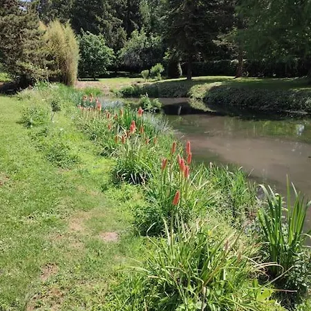 Le Gite Des Choiseaux, Piscine Et Parc Au Coeur De La Nature Suevres Exterior photo